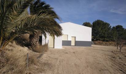 Commercial - Sale - Yecla - INM-47571