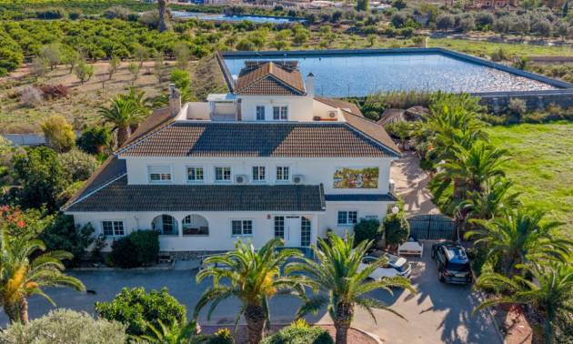 Country House - Revente - Los Montesinos - Los Montesinos