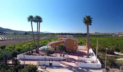 Country House - Revente - Orihuela - INM-38167