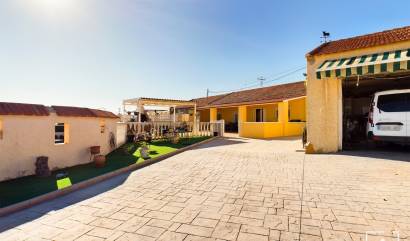 Country House - Revente - Pilar de la Horadada - AP-1059