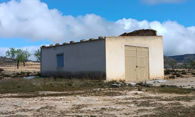 Country House - Revente - Yecla - Yecla