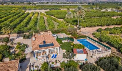 Country House - Sale - Albatera - INM-90060