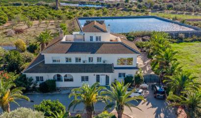 Country House - Sale - Los Montesinos - Ham-92728