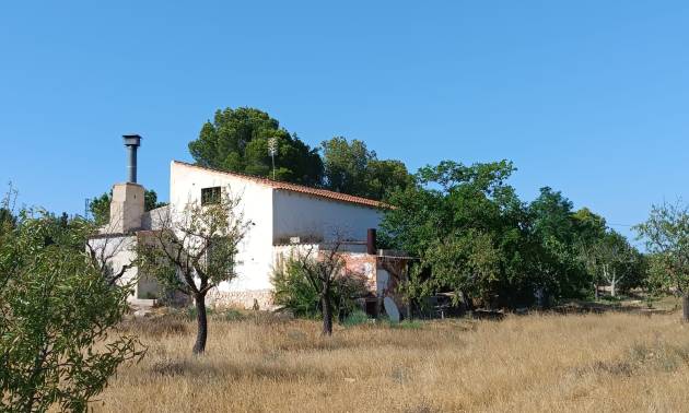 Country House - Sale - Yecla - Yecla