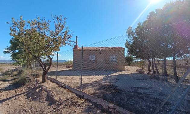 Country House - Venta - Jumilla - Jumilla