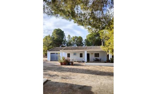 Country House - Venta - Yecla - Yecla