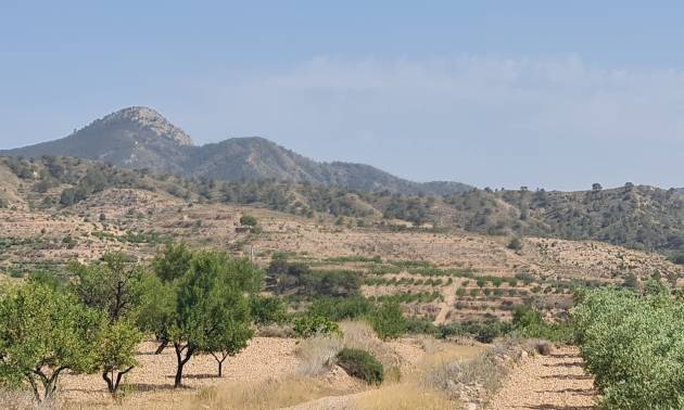 Land - Bestaande woningen - Abanilla - Abanilla