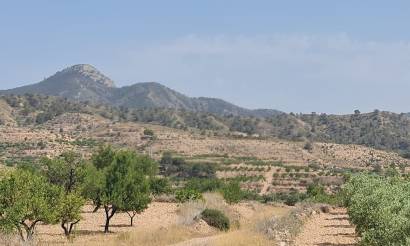 Land · Bestaande woningen · Abanilla · Abanilla