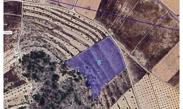 Land - Bestaande woningen - Abanilla - Abanilla