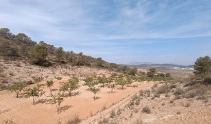 Land - Bestaande woningen - Abanilla - INM-98737