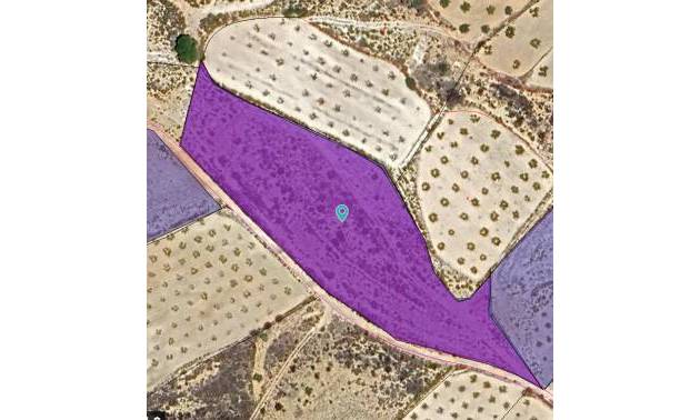 Land - Bestaande woningen - Jumilla - Jumilla