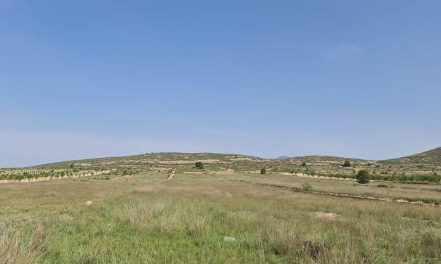 Land - Bestaande woningen - Jumilla - Jumilla