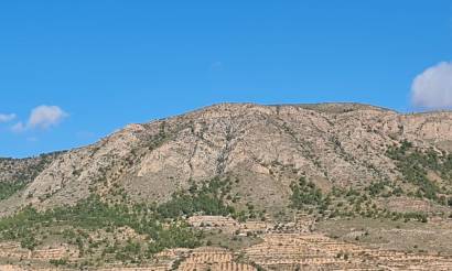 Land · Bestaande woningen · La Romana · La Romana