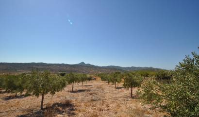 Land - Bestaande woningen - Macisvenda - INM-81007