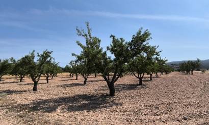 Land · Bestaande woningen · Monovar · Monovar