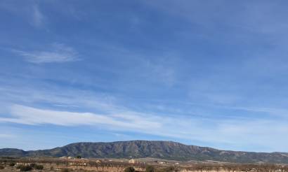 Land · Bestaande woningen · Pinoso · Pinoso