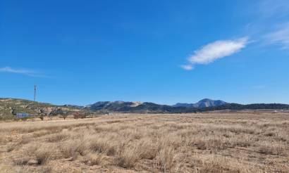 Land · Bestaande woningen · Pinoso · Pinoso