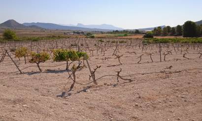 Land · Bestaande woningen · Pinoso · Pinoso