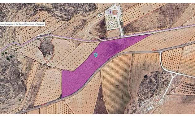 Land - Bestaande woningen - Pinoso - Pinoso