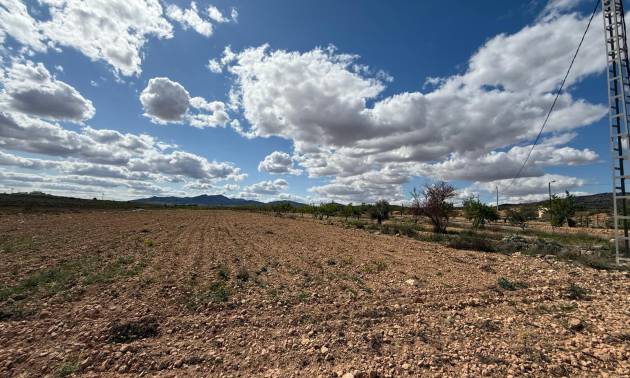 Land - Bestaande woningen - Pinoso - Pinoso