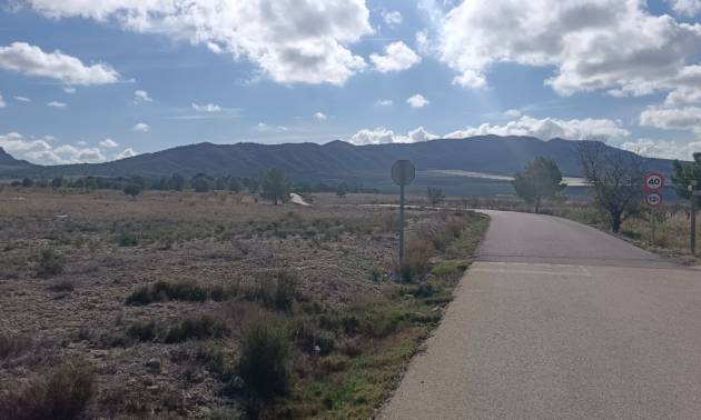 Land - Bestaande woningen - Salinas - Salinas