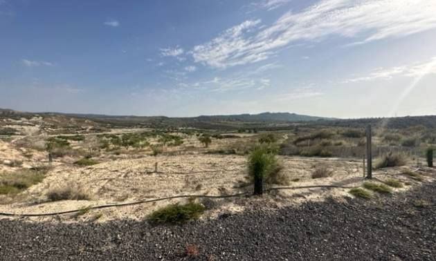 Land - Bestaande woningen - Torremendo - Torremendo