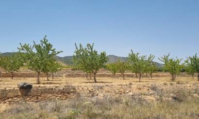 Land · Bestaande woningen · Yecla · Yecla