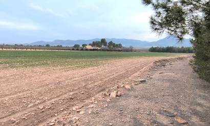 Land · Bestaande woningen · Yecla · Yecla