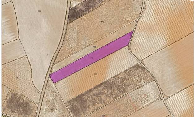 Land - Bestaande woningen - Yecla - Yecla