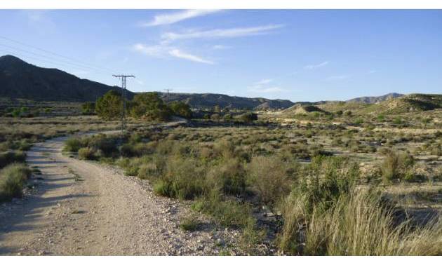 Land - Revente - Abanilla - Abanilla