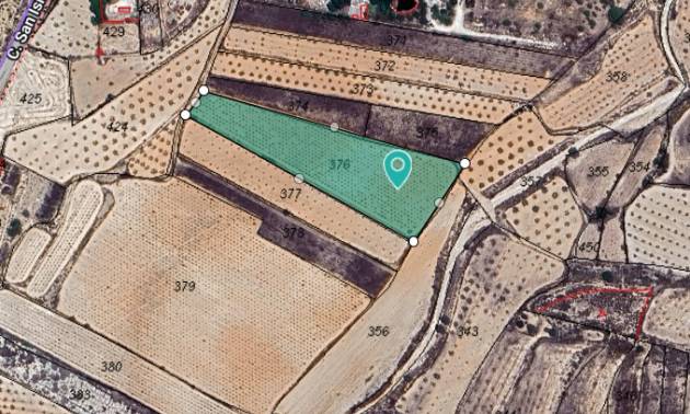 Land - Revente - Alguena - Alguena