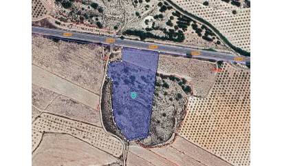 Land - Revente - Chinorlet - INM-63169