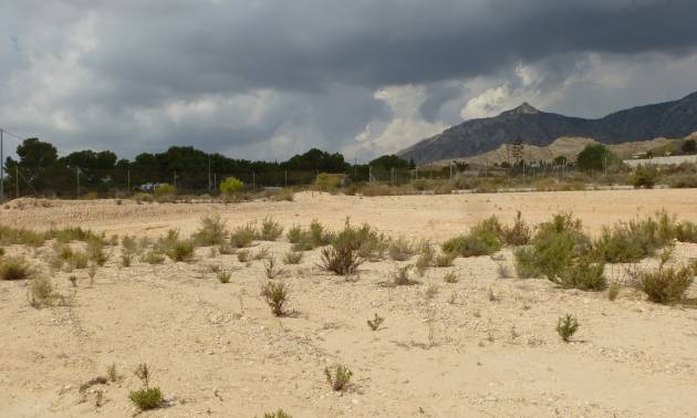 Land - Revente - Crevillente - Crevillente