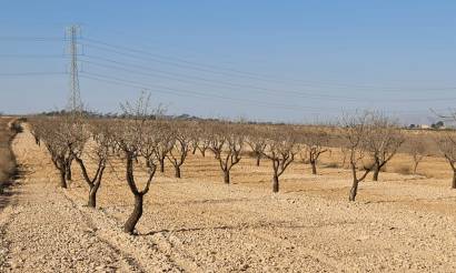 Land · Revente · Jumilla · Jumilla