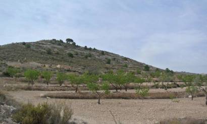 Land · Revente · Jumilla · Jumilla