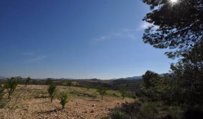 Land - Revente - La Zarza - INM-73088