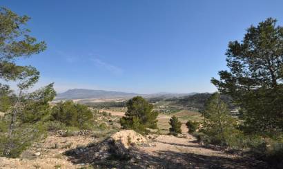 Land · Revente · La Zarza · La Zarza