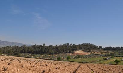 Land · Revente · La Zarza · La Zarza