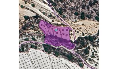 Land - Revente - Monovar - INM-90865