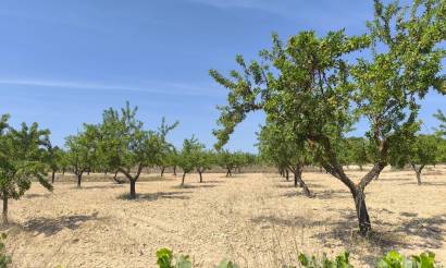 Land · Revente · Monovar · Monovar