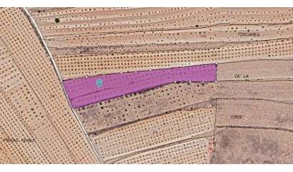 Land - Revente - Pinoso - INM-30746
