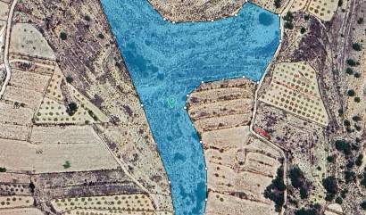 Land - Revente - Pinoso - INM-99278