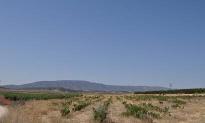 Land · Revente · Pinoso · Pinoso