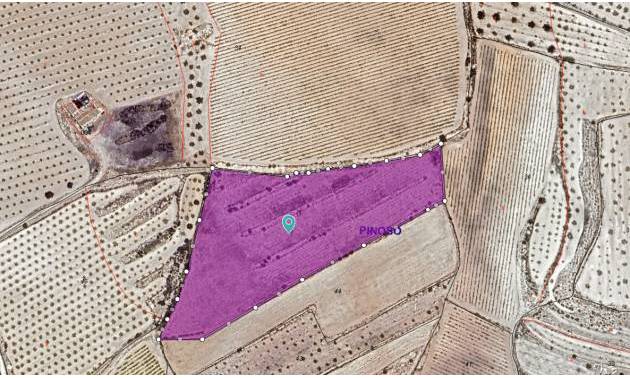 Land - Revente - Pinoso - Pinoso