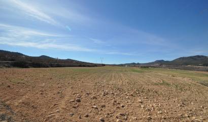 Land - Revente - Salinas - INM-65871