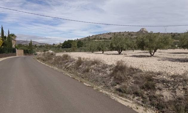 Land - Revente - Salinas - Salinas