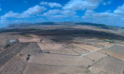 Land · Revente · Yecla · Yecla