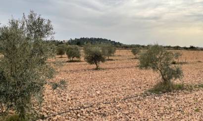 Land · Revente · Yecla · Yecla