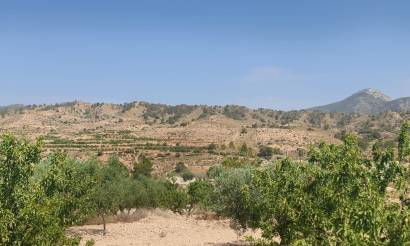 Land · Sale · Abanilla · Abanilla