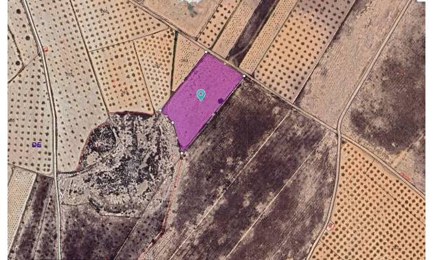 Land - Sale - Abanilla - Abanilla